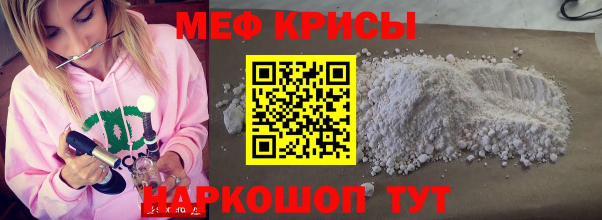 МЕФ  Дубна