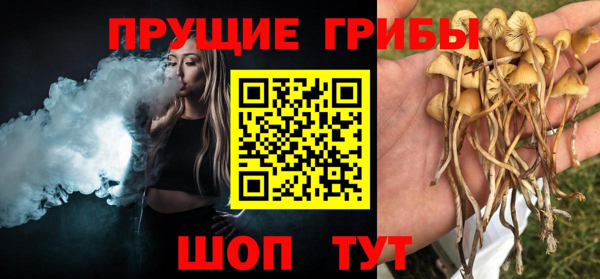 Галлюциногенные грибы ЛСД  Вход с VPN  Дубна 